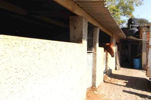 Bodega en Renta, Cuernavaca, Morelos.