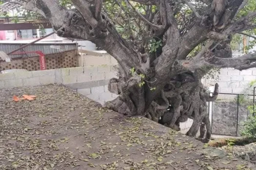 Bodega en Renta, Cuernavaca, Morelos.
