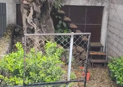 Bodega en Renta, Cuernavaca, Morelos.